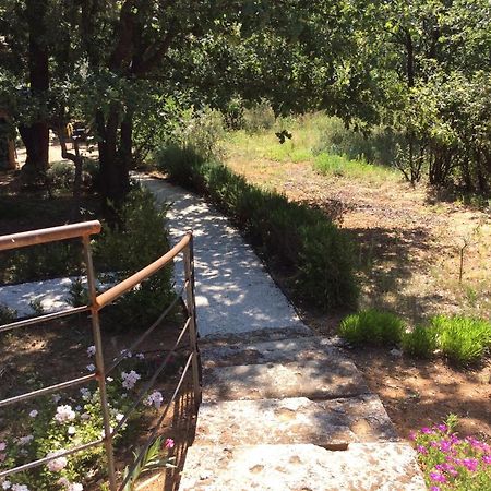 Le Bois De La Cour Villa Roussillon en Isere Dış mekan fotoğraf